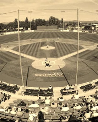 Cal St Fullerton Titans Baseball Fullerton
